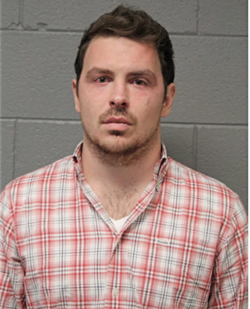 BRIAN J BONAMARTE, Cook County, Illinois