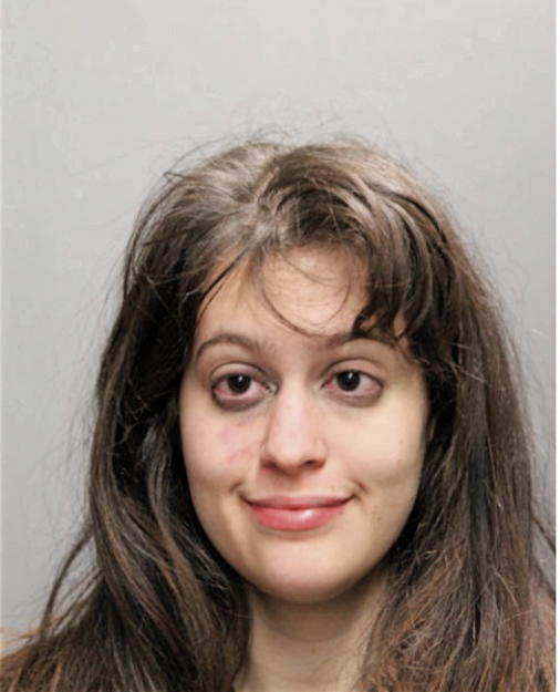 ALYSSA N FLISIAK, Cook County, Illinois