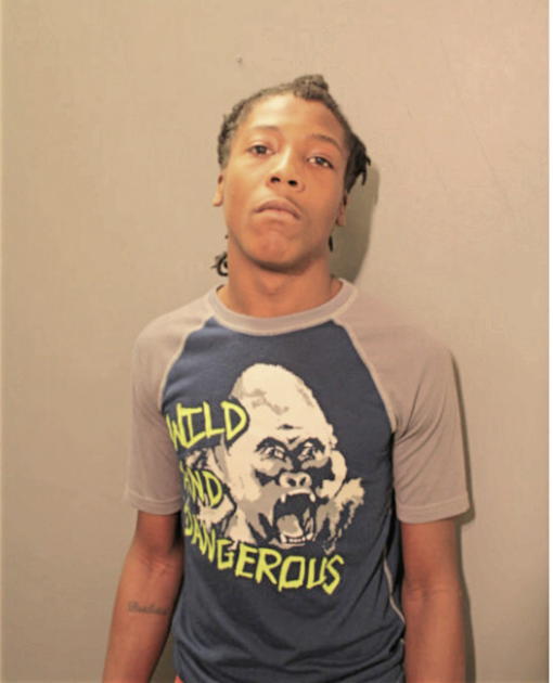 DAMIEN SHARCOUR FLUNDER, Cook County, Illinois