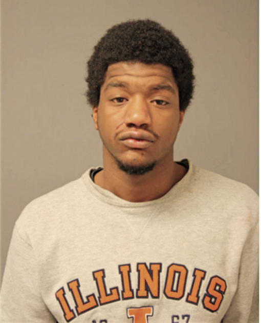 BRANDON B GRIFFIN, Cook County, Illinois