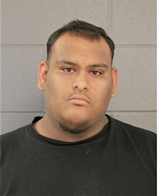 SERGIO A HERNANDEZ, Cook County, Illinois