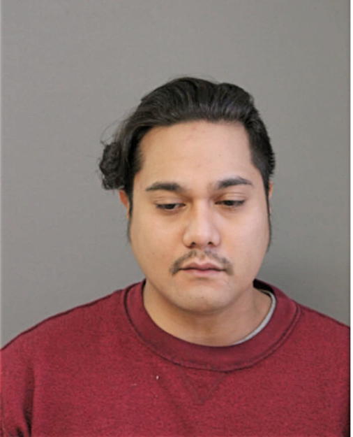 JOSEPH P MAYUGA, Cook County, Illinois