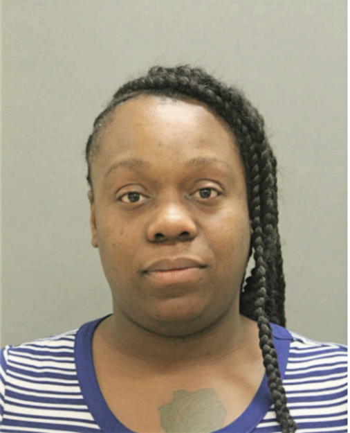 ELIZABETH S NIX, Cook County, Illinois