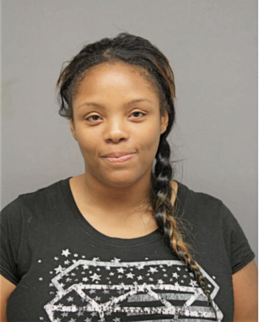 LAKESHA Q NOBLE, Cook County, Illinois