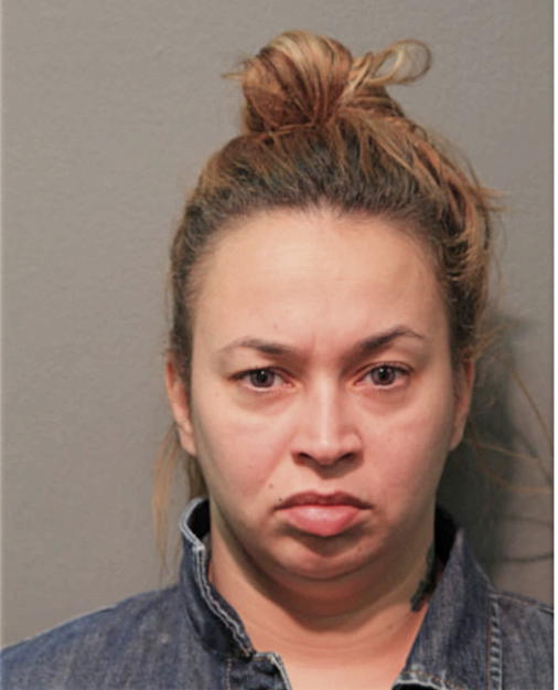 VIRGEN REYES, Cook County, Illinois