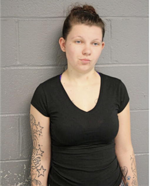 ABBY L RICHARDS, Cook County, Illinois