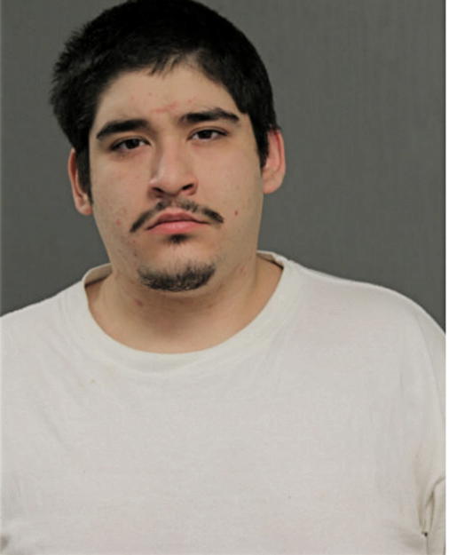 DIEGO SAHAGUN, Cook County, Illinois