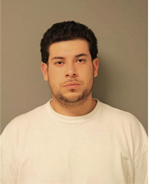 BERZAYN E TORRES, Cook County, Illinois