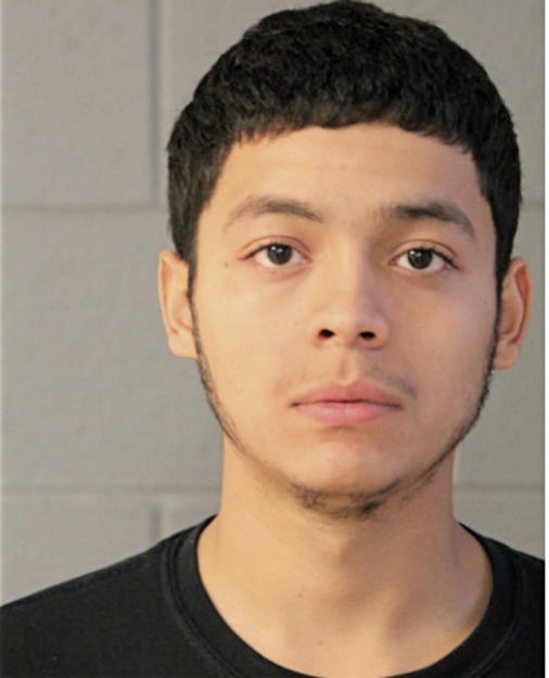EDGAR TORRES, Cook County, Illinois