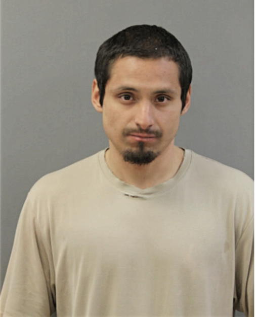 FRANCISCO VEGA, Cook County, Illinois