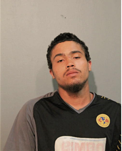 CHRISTOPHER VILELLA, Cook County, Illinois