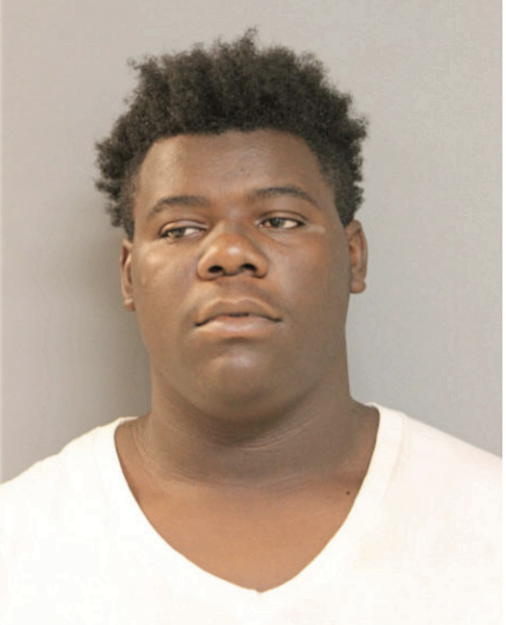 NATHANIEL D WILLIAMS, Cook County, Illinois