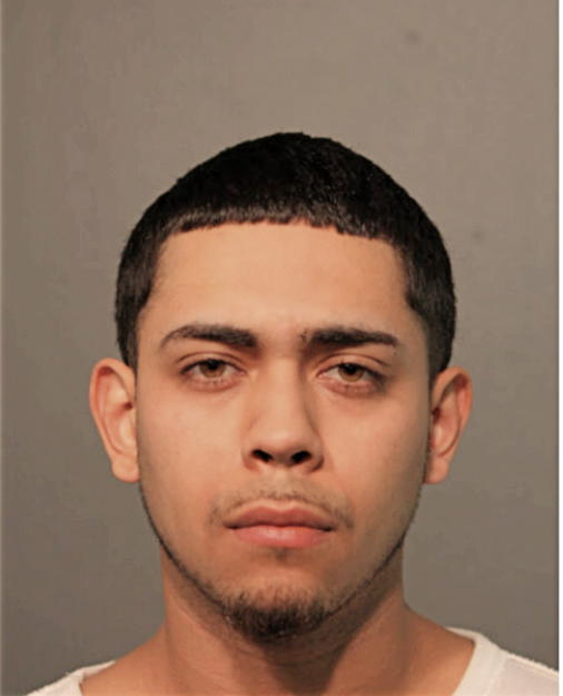JULIAN T ZAMORA, Cook County, Illinois