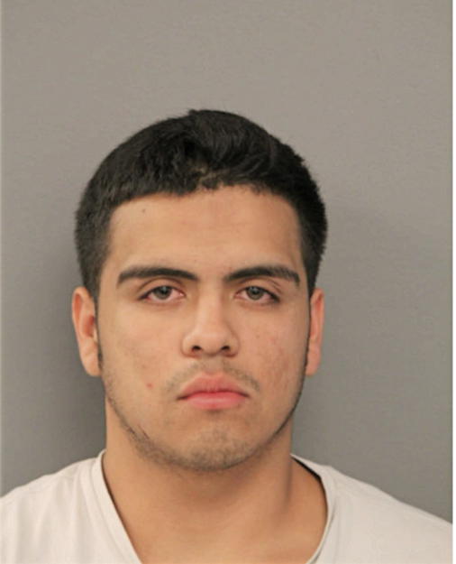 RAUL ALVINO, Cook County, Illinois