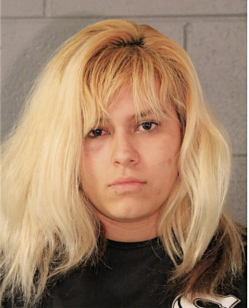 MARIA C ANDRADE, Cook County, Illinois