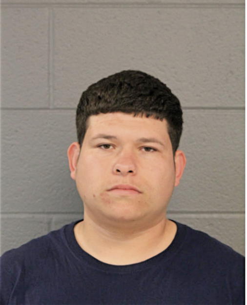 ALEJANDRO A ARCE, Cook County, Illinois