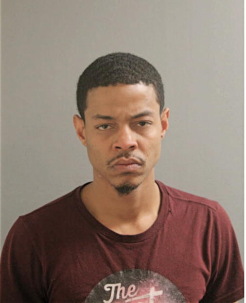 TORREY BIRGE, Cook County, Illinois