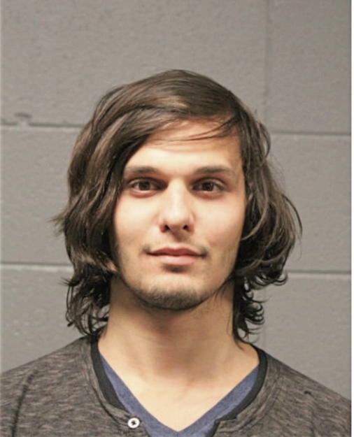 GEORGE BRINZA, Cook County, Illinois