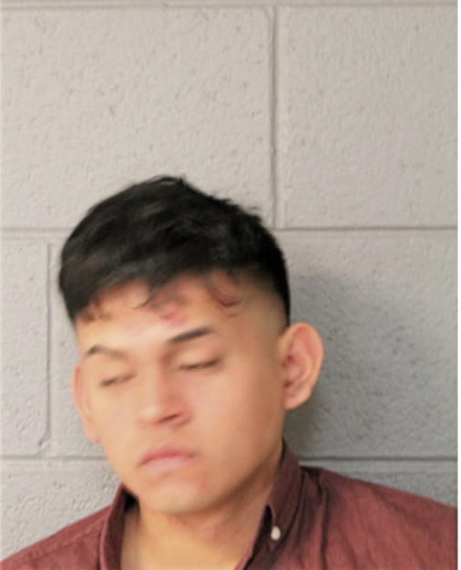 DANNY DIEGO, Cook County, Illinois