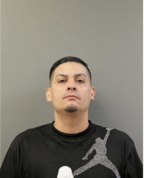 CHRISTIAN L FONTANEZ, Cook County, Illinois