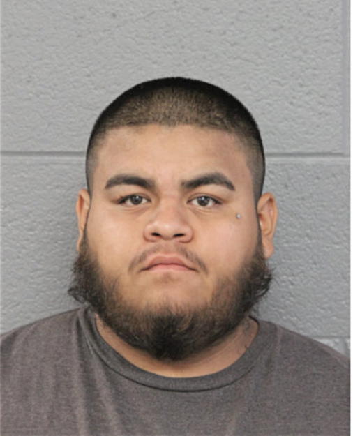 MICHAEL R GARCIA, Cook County, Illinois