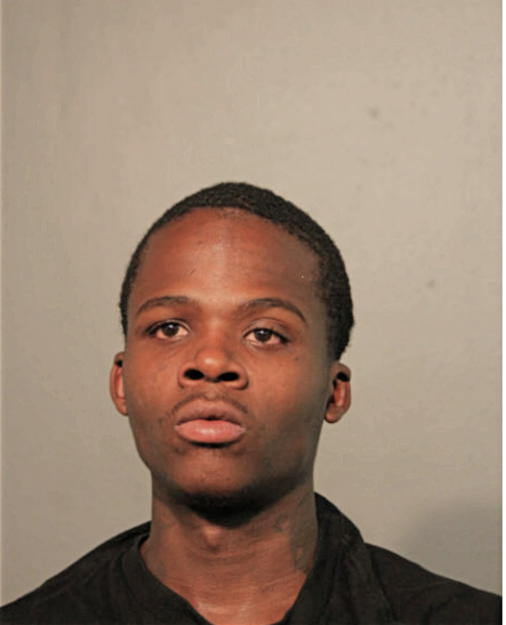 NED V GARDNER, Cook County, Illinois