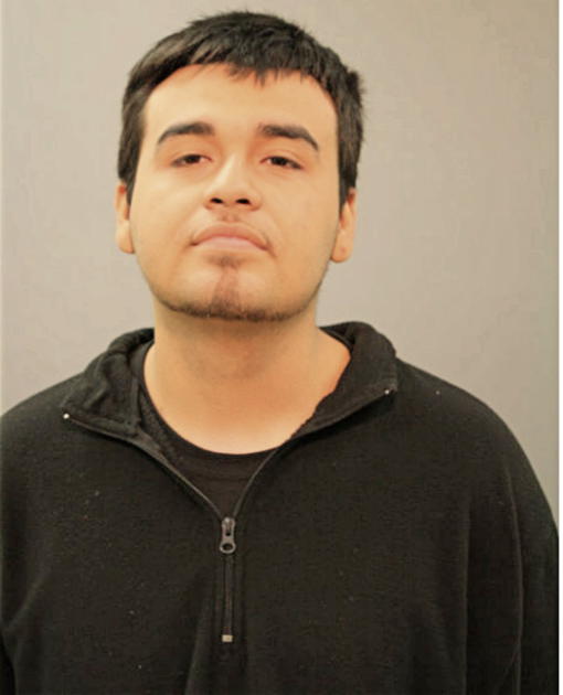 CHRISTIAN GONZALEZ, Cook County, Illinois
