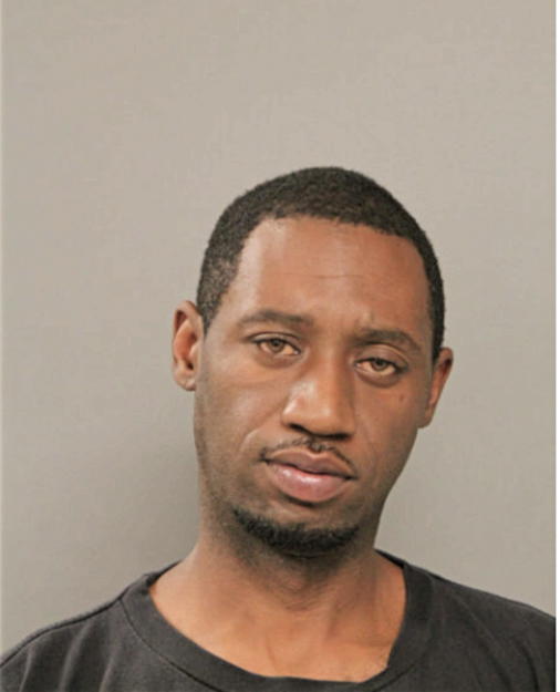 NATHAN HAMILTON, Cook County, Illinois