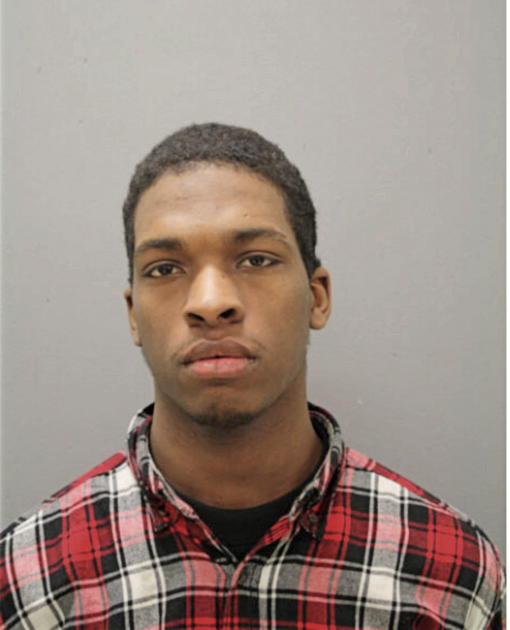 BRANDON L HARVEY, Cook County, Illinois