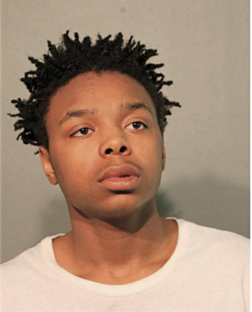 KEVIN K JOHNSON, Cook County, Illinois