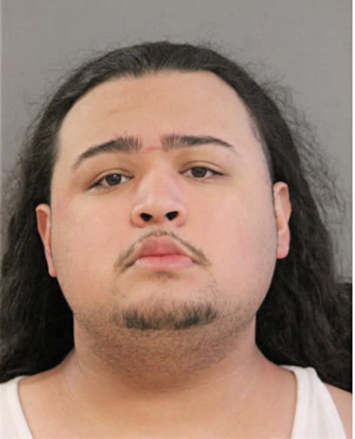 ANGEL L MENDEZ, Cook County, Illinois