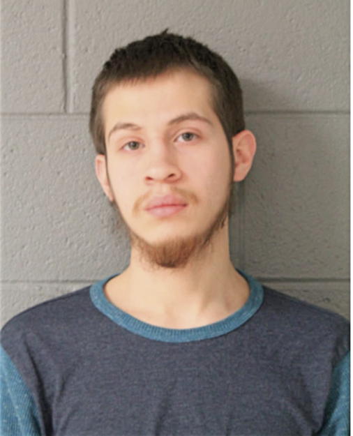 ADRIAN C PONCE, Cook County, Illinois