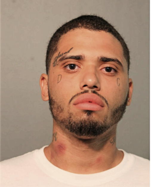 JOESEPH ROMAN, Cook County, Illinois