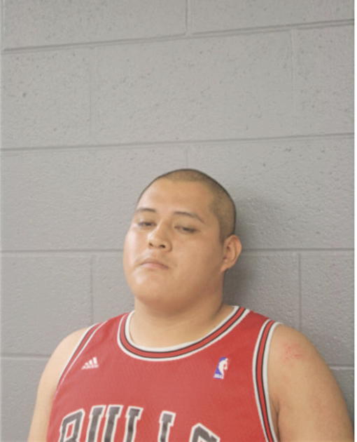 FRANKY SALGADO, Cook County, Illinois
