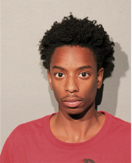 DAVONTAI F SANDERS, Cook County, Illinois