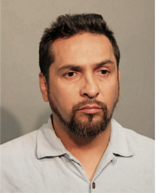 ALEX SILVA, Cook County, Illinois