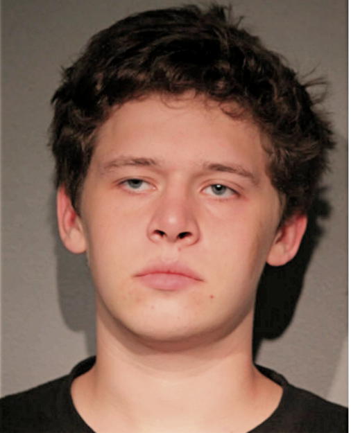 SEBASTIEN A SIMON, Cook County, Illinois