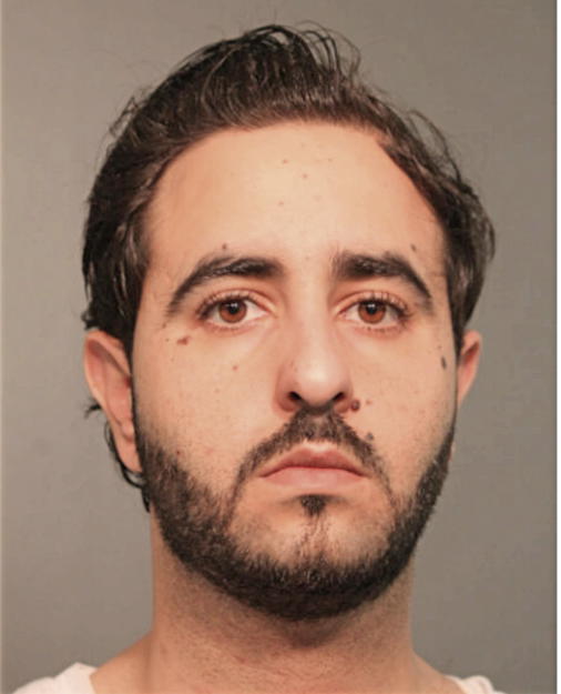 ZIAD NASER ZEIN, Cook County, Illinois