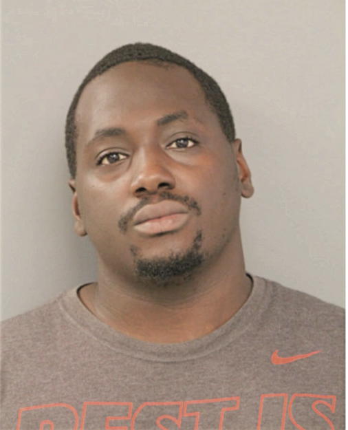 MICHAEL W BELL, Cook County, Illinois