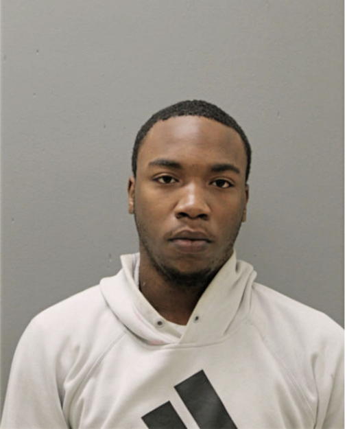 JAMES A BROWN, Cook County, Illinois