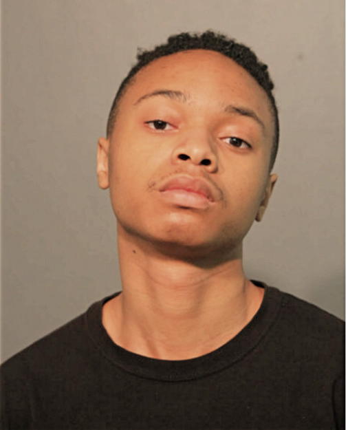 LOWAN H BROWN, Cook County, Illinois