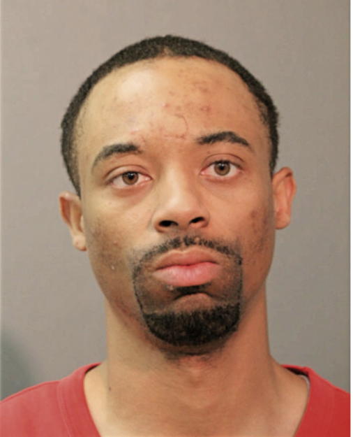 MICHAEL N ELLIS, Cook County, Illinois