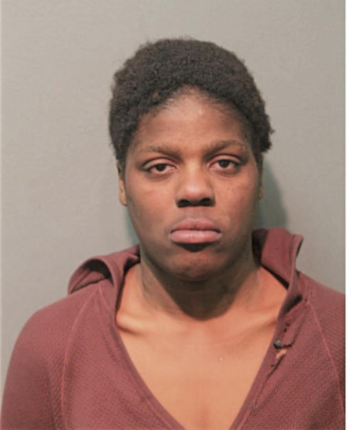 BRIANA P FERGUSON, Cook County, Illinois