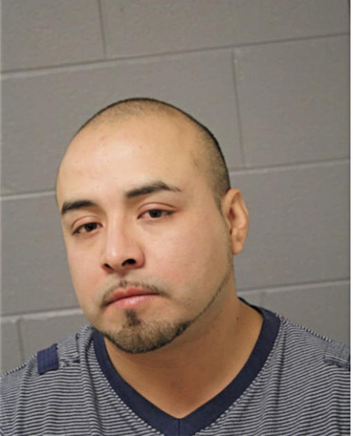 ALEXANDO HERNANDEZ, Cook County, Illinois