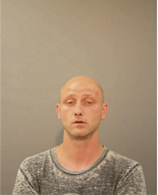 WILLIAM T IVERSEN, Cook County, Illinois