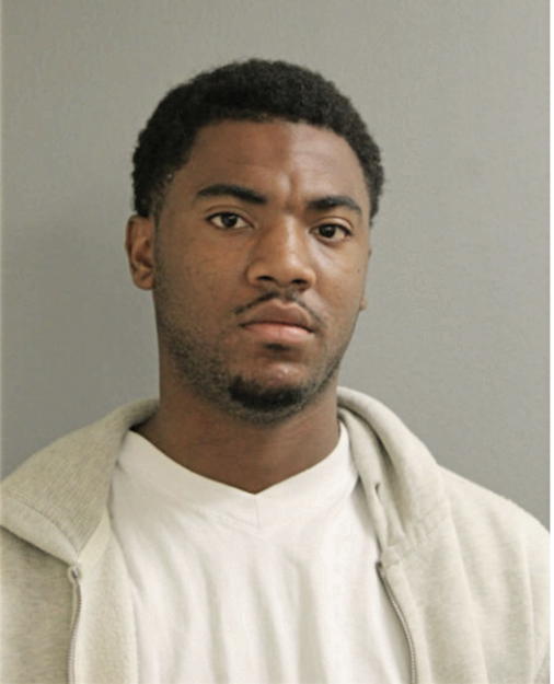 ASHFORD JOHNSON, Cook County, Illinois