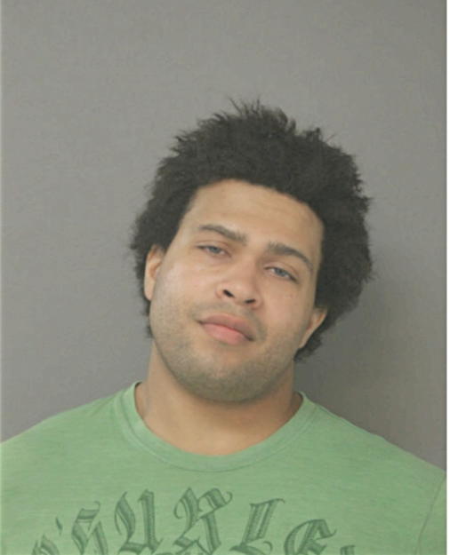 JUSTIN A JOHNSON, Cook County, Illinois
