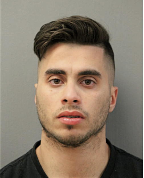 NELSON J LAI, Cook County, Illinois