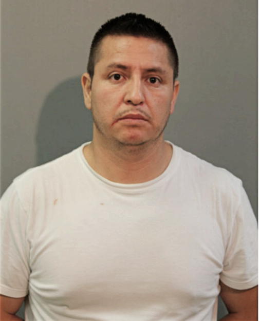 SEGUNDO J LOPEZ, Cook County, Illinois