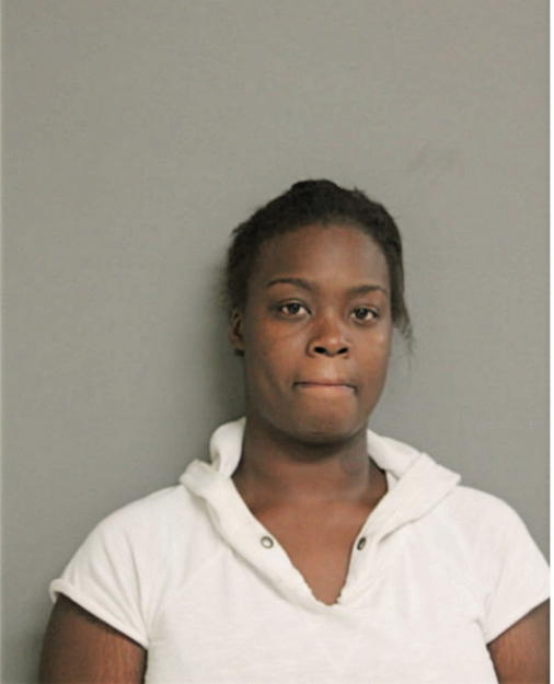 TAMMIE S LYDA, Cook County, Illinois
